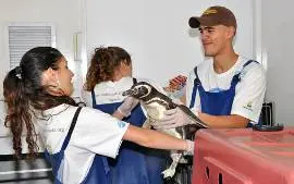Após serem reabilitados, animais ficarão abrigados em área de 110 m² (Foto: David Rego Jr./Divulgação) 
