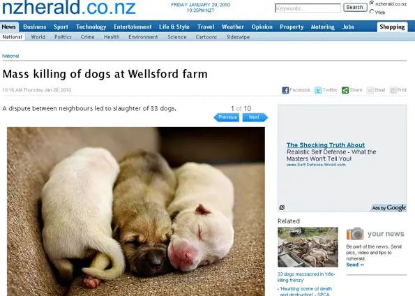 Filhotes que sobreviveram à chacina de cães em Wellsford, na Nova Zelândia, em foto de jornal local. (Foto: Reprodução/G1)