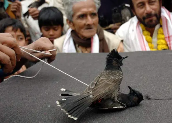 Foto: Barcroft India/Getty Images/G1