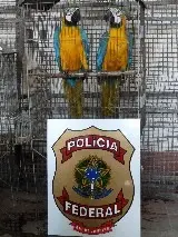 Foto: Correio Braziliense