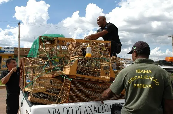 Foto: Correio Braziliense