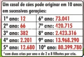 Imagem: Jornal A Cidade