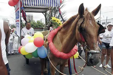 Foto: Marina Silva