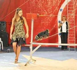 Foto: Reprodução/Jornal da Madeira