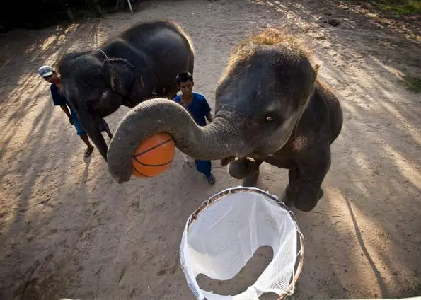 (Foto: Bronek Kaminiski/Barcroft India/Getty Images) 