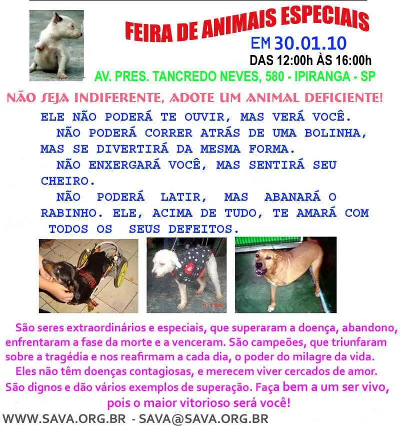 Feira de adoção de animais especiais