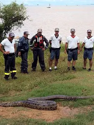 Foto: Cícero Affonso/Especial para Terra