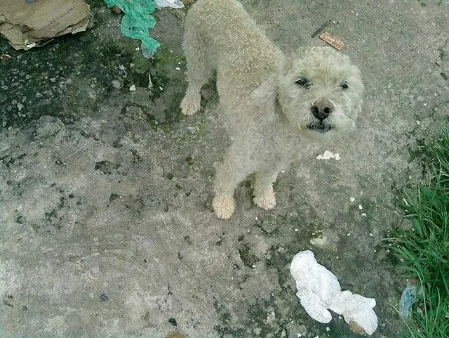 Foto: s/c