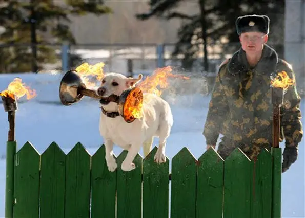 Foto: Viktor Drachev/AFP