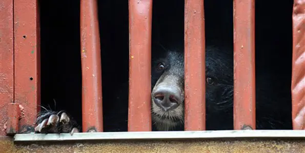 (Foto: Hoang Dinh Nam/France Presse) 