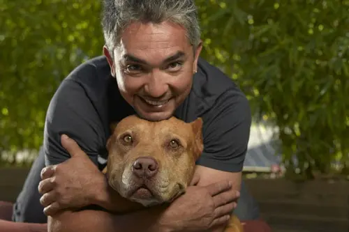 Foto de Cesar Millan com seu cão (National Geographic/Reprodução)