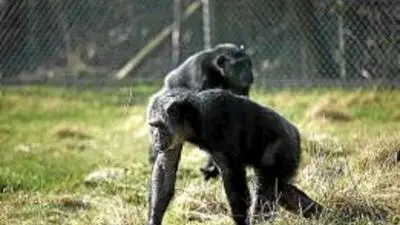 Imagem: Reprodução/I Online