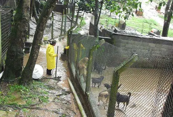 Foto: Reprodução/Diário do Grande ABC