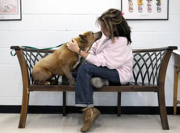 Teresa brinca com cão (Foto: The State Journal)