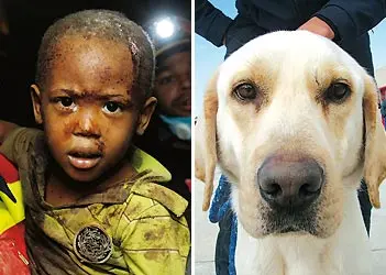 Foto: Reprodução/Prensanimalista