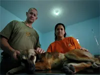 Werner Payne, da Associação Veterinário Sem Fronteiras, defende a esterilização para todo o país (Foto: Fellipe CastroEsp. para Aqui PeD.A Press)