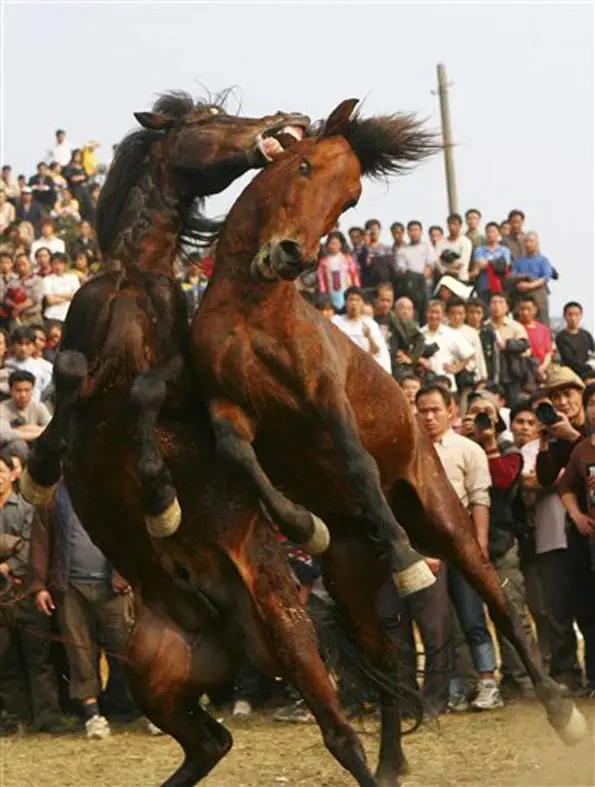 (Foto: Long Linzhi/AP)