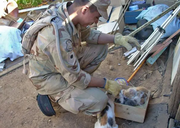 Militar resgata Vieja e os gatinhos neste sábado (6) na cidade chilena de Cauquenes. (Foto: Vivianne Campos Arellano) 