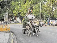 Foto: Edvaldo Rodrigues/DP/D.A Press