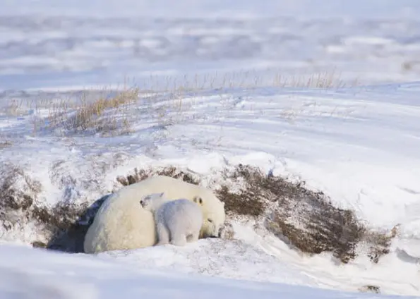  (Foto: Steven Kazlowski/Barcroft Media/Getty Images) 