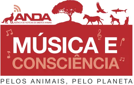 logo do show
