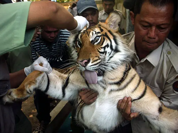 (Foto: AP)