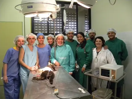 Neno passa bem após cirurgia (Foto: Reprodução/Cidade Verde)