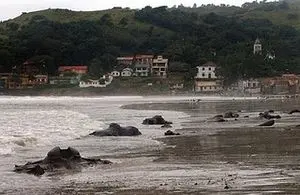 foto da praia com as carcaças à mostra