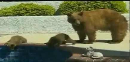 Imagem: Reprodução/TV Record