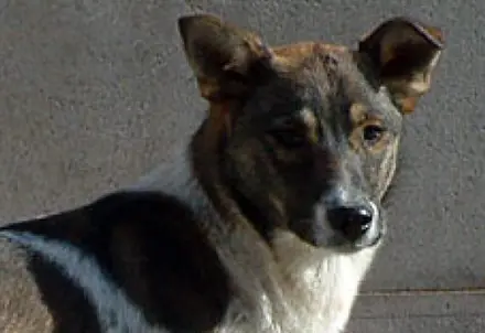 (Foto: Por Reprodução)