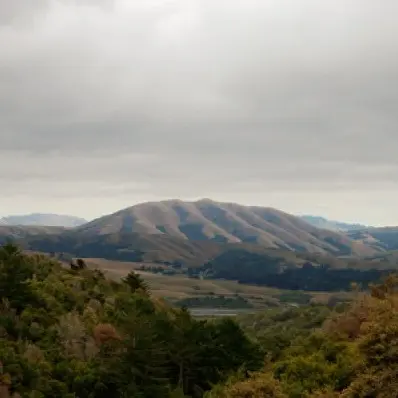 O álbum Mount Wittenberg Orca é uma parceria da cantora Björk com o Dirty Projectors