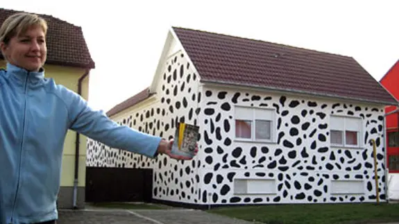 foto da casa pintada nas cores do cão