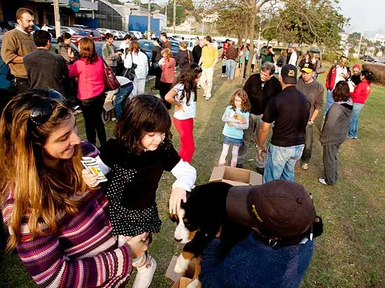 Cachorro é oferecido para venda em feira na Vila Leopoldina, bairro de São Paulo