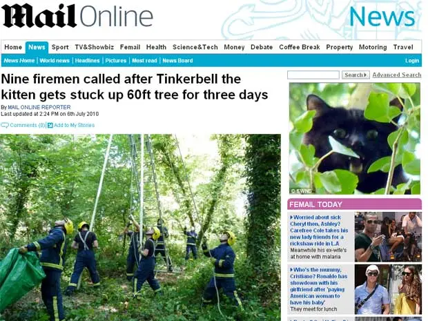 Tinkerbell ficou três dias no topo de uma árvore (Foto: Reprodução/Daily Mail)