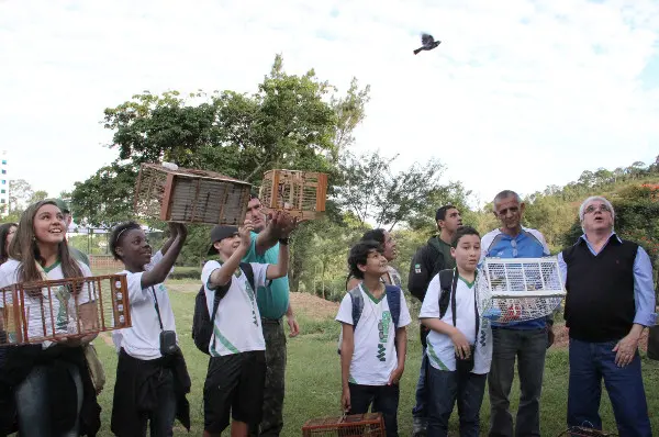 Foto: Divulgação