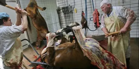 Foto: Avaaz