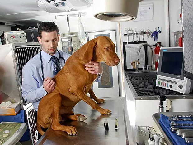 O veterinário Doug Kramer com seu cachorro Mason em fevereiro (Foto: Oscar Anaya/Vet Guru Inc/AP)