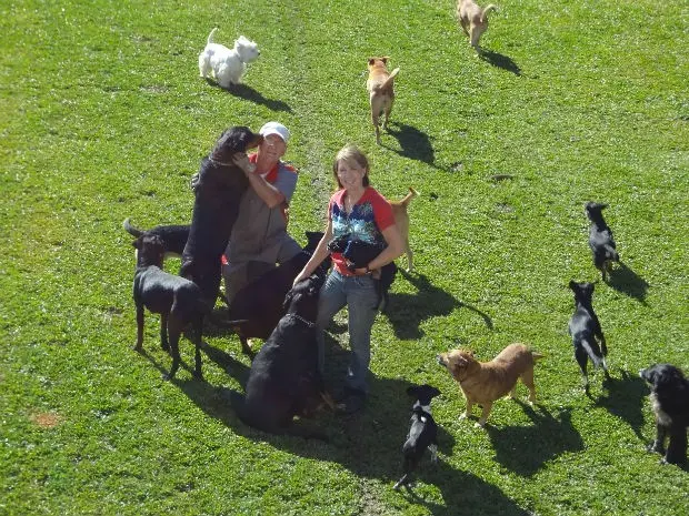 Atualmente o casal concentra cerca de 60 cães recolhidos das ruas de Curitiba e Região (Foto: Adriana Justi / G1)