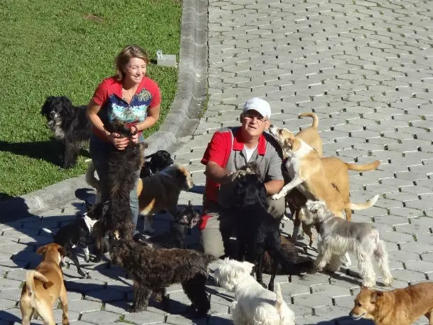 Todos os cães tem nome e vivem soltos em três espaços diferentes na chácara (Foto: Adriana Justi / G1)