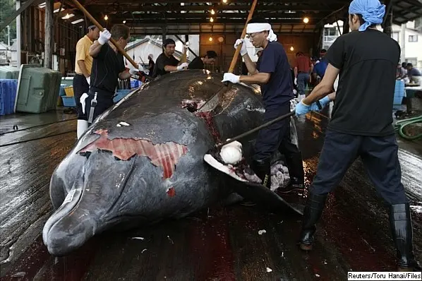 Foto: Reuters