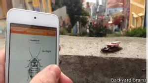O 'inseto ciborgue' é controlado por meio de dispositivos como celulares Foto: G1
