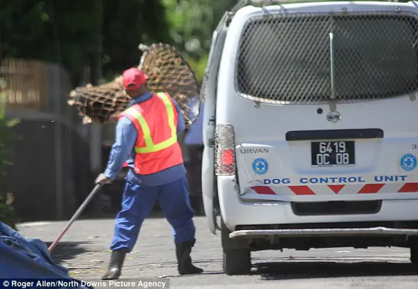 Ao chegar na carrocinha, o cachorro tem três dias antes de ser jogado em uma vala. (Foto: Daily Mail)