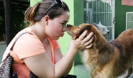 Cãominhada em Manaus vai incentivar a guarda responsável de animais de estimação. (Foto: Arlesson Sicsú/ Acervo DA)