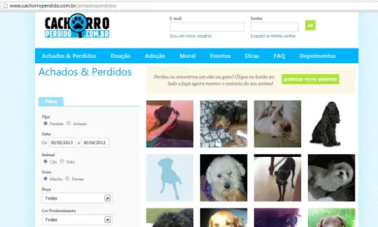 Site Cachorro Perdido