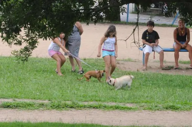 Espaço na Redenção servirá de teste para demais praças e parques da Capital Foto: Arivaldo Chaves / Agencia RBS