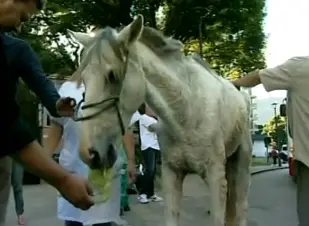 (Foto: Divulgação)