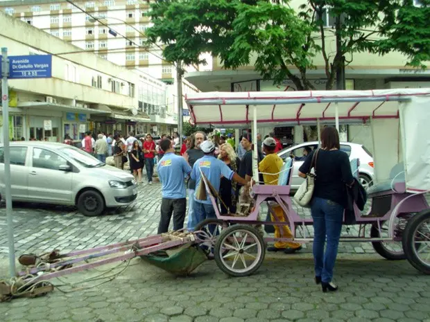 Condutor de charrete pode perder direito de conduzir veículo. (Foto: Rogério Brasil / Opopular.net)