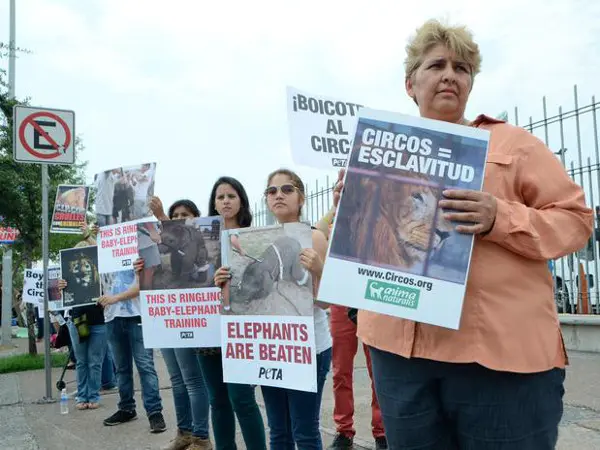 Organizações como Anima Naturalis e Pessoas por um Tratamento Ético aos Animais - PETA, em inglês - mobilizaram mais de uma centena de pessoas nas imediações da Arena Monterrey, onde a famosa companhia circense apresenta seu famoso espetáculo "Dragons", no qual utiliza uma série de animais, que, segundo os manifestantes, são vítimas de maltrato. (Foto: Carlos Tamayo / Terra)