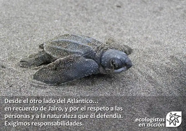 Desde o outro lado do Atlântico… uma lembrança do Jairo, e pelo respeito as pessoas e a natureza que ele defendia. Exigimos Responsabilidades! (Foto: ONG Ecologistas em Ação) 