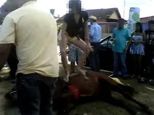 Vídeo de jovens dançando funk em cavalo deitado causou polêmica (Foto: Reprodução/Facebook)